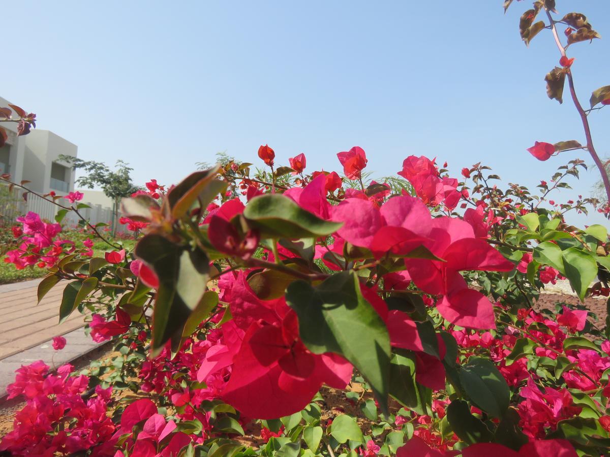 Bermuda Villas Holiday Home Ras al-Khaimah Rum bild